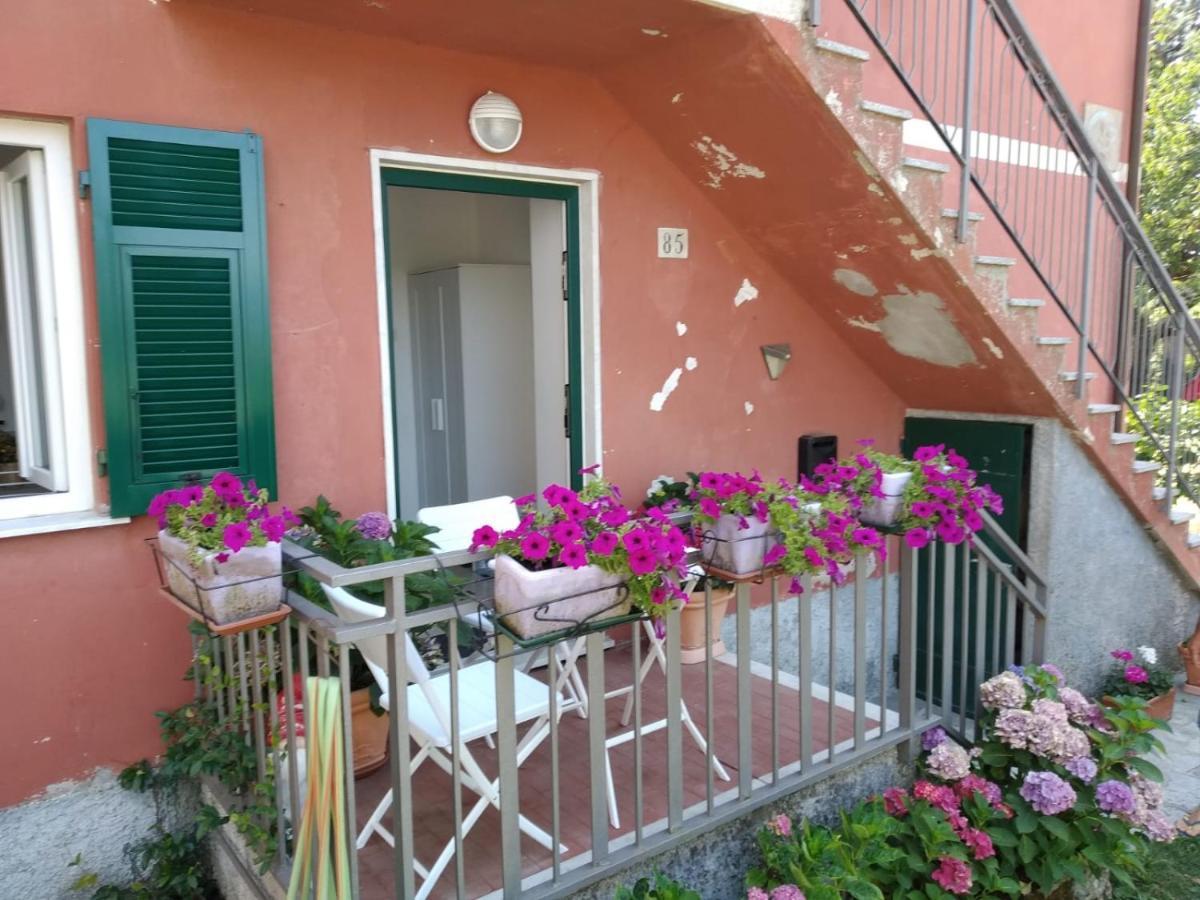 Appartamento La Pineta It010-058C20-Tj54093 Serra Rocco Εξωτερικό φωτογραφία